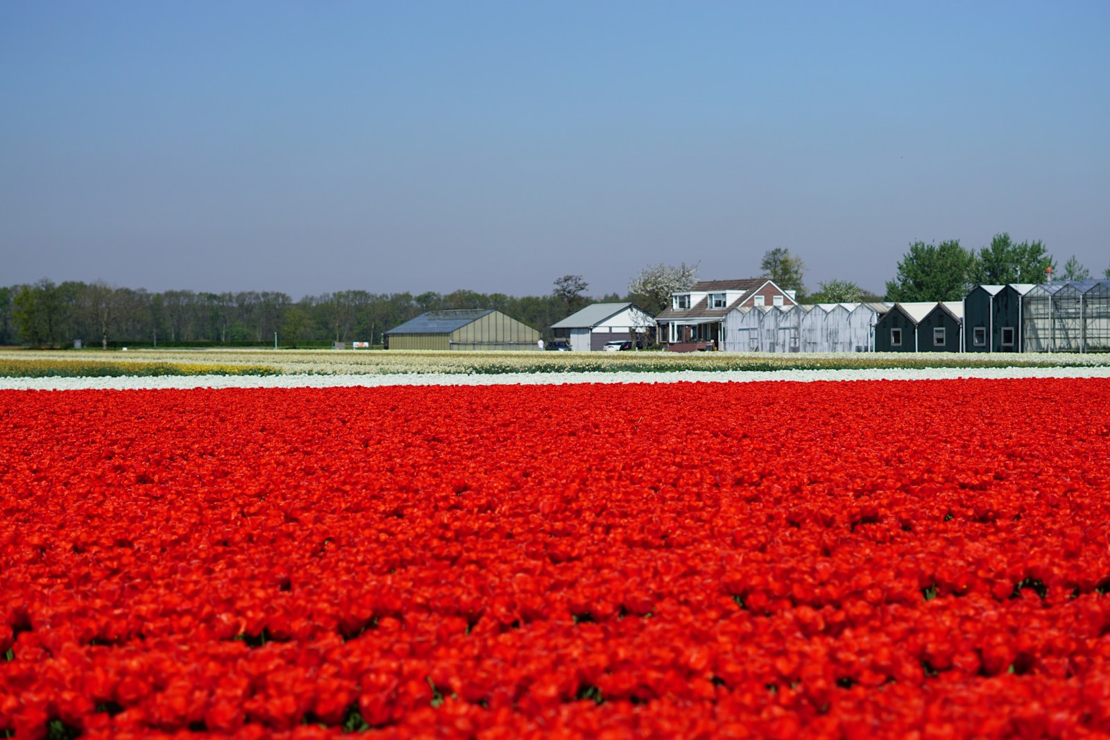 rijschool Lisse